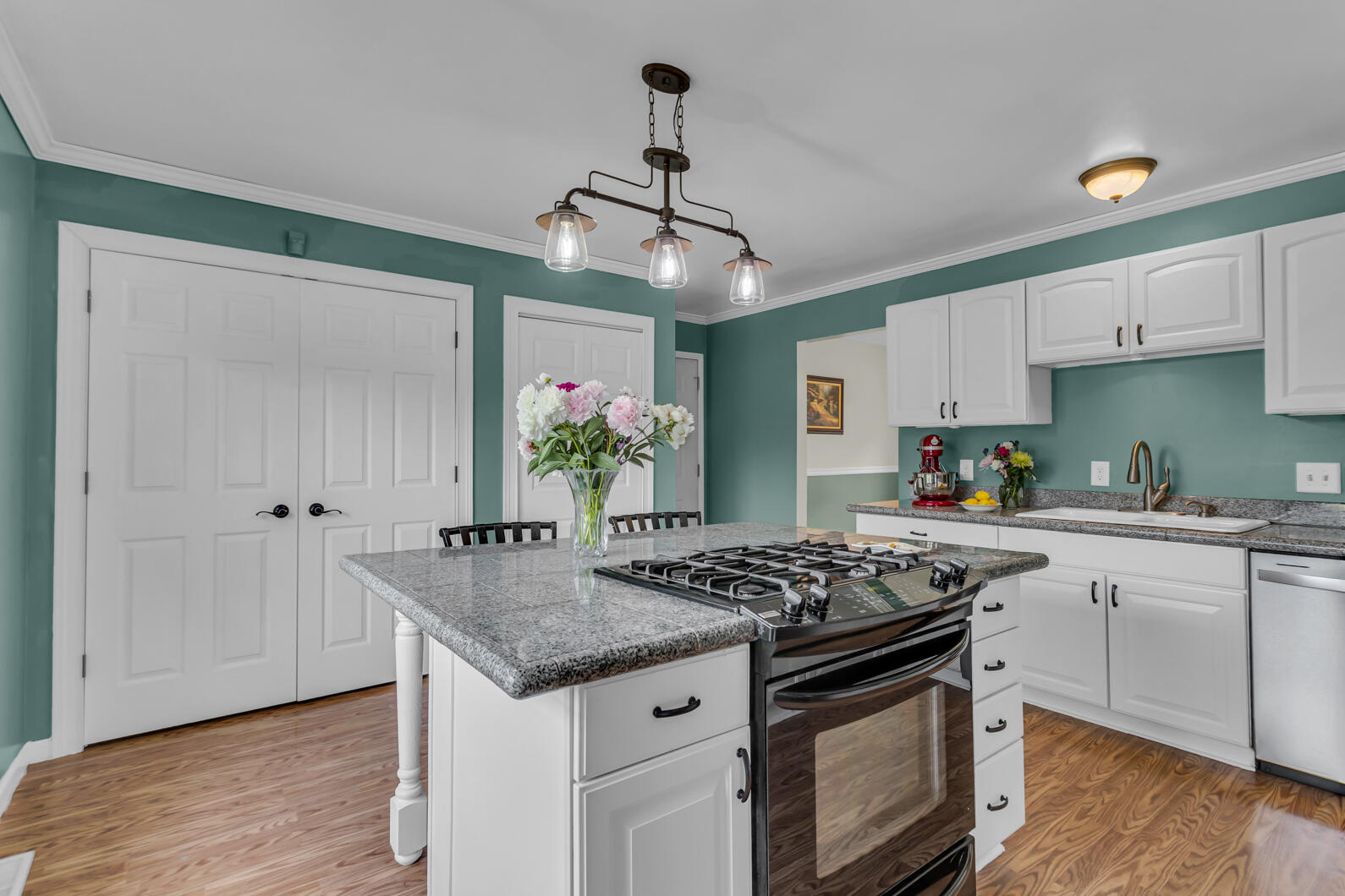 6824 Napoleon Road Jackson, MI 49201 - Photo 13 of 68 0N0A1519