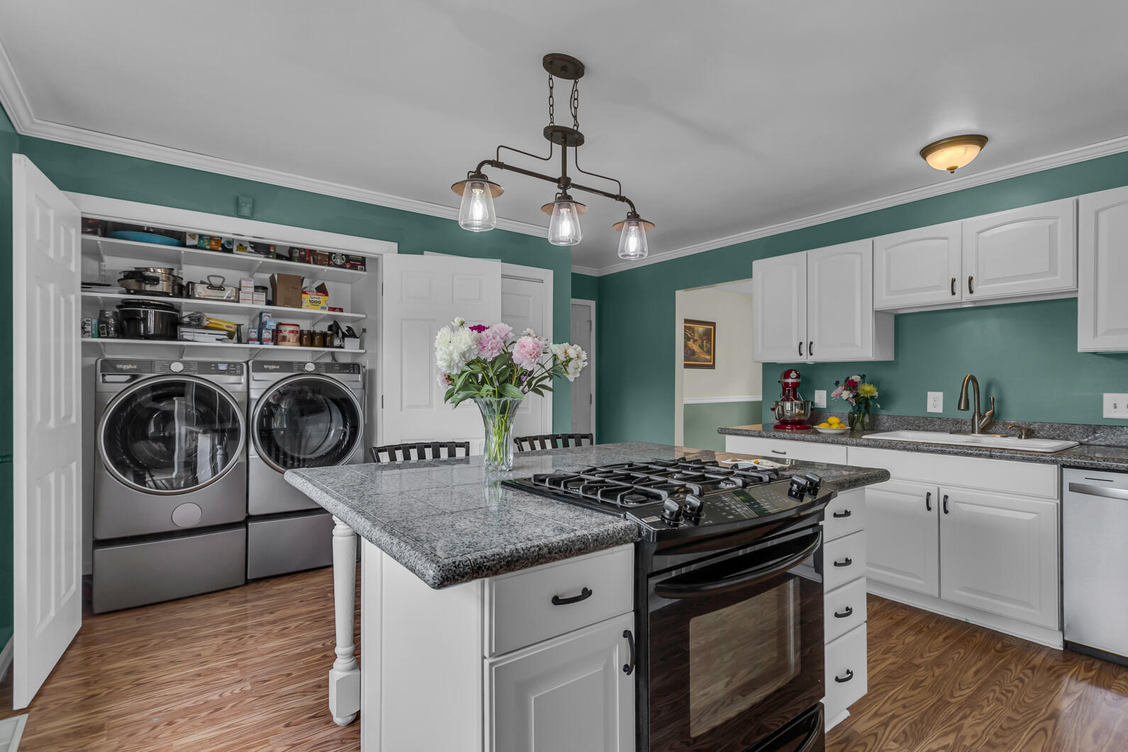 6824 Napoleon Road Jackson, MI 49201 - Photo 14 of 68 0N0A1522