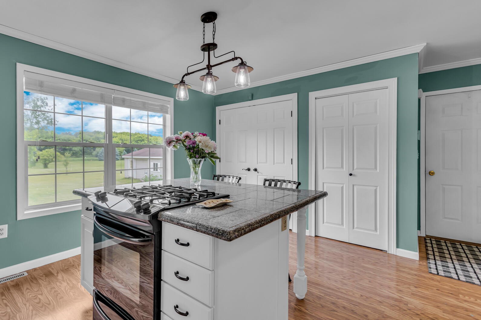 6824 Napoleon Road Jackson, MI 49201 - Photo 15 of 68 0N0A1531