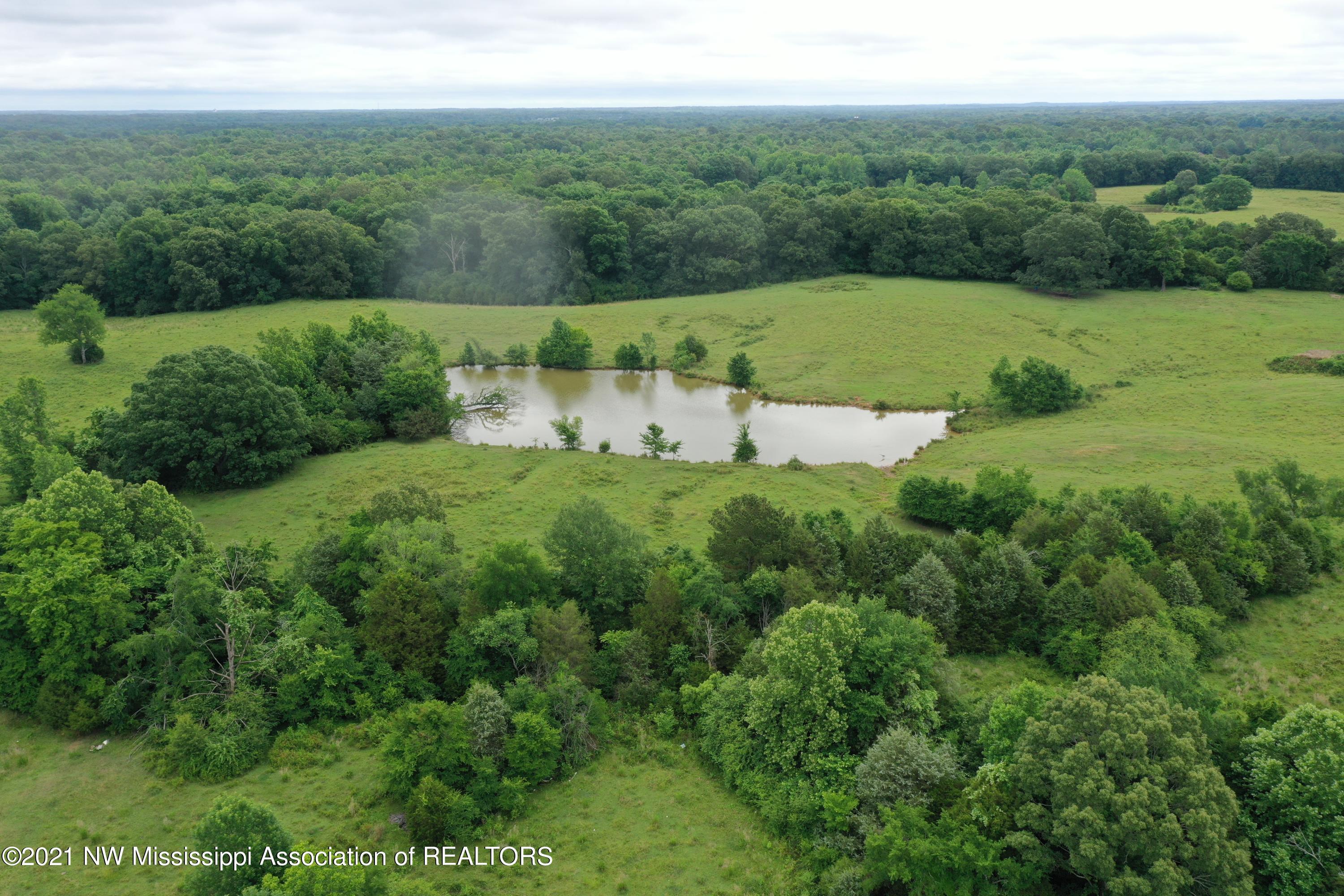 DJI_0359