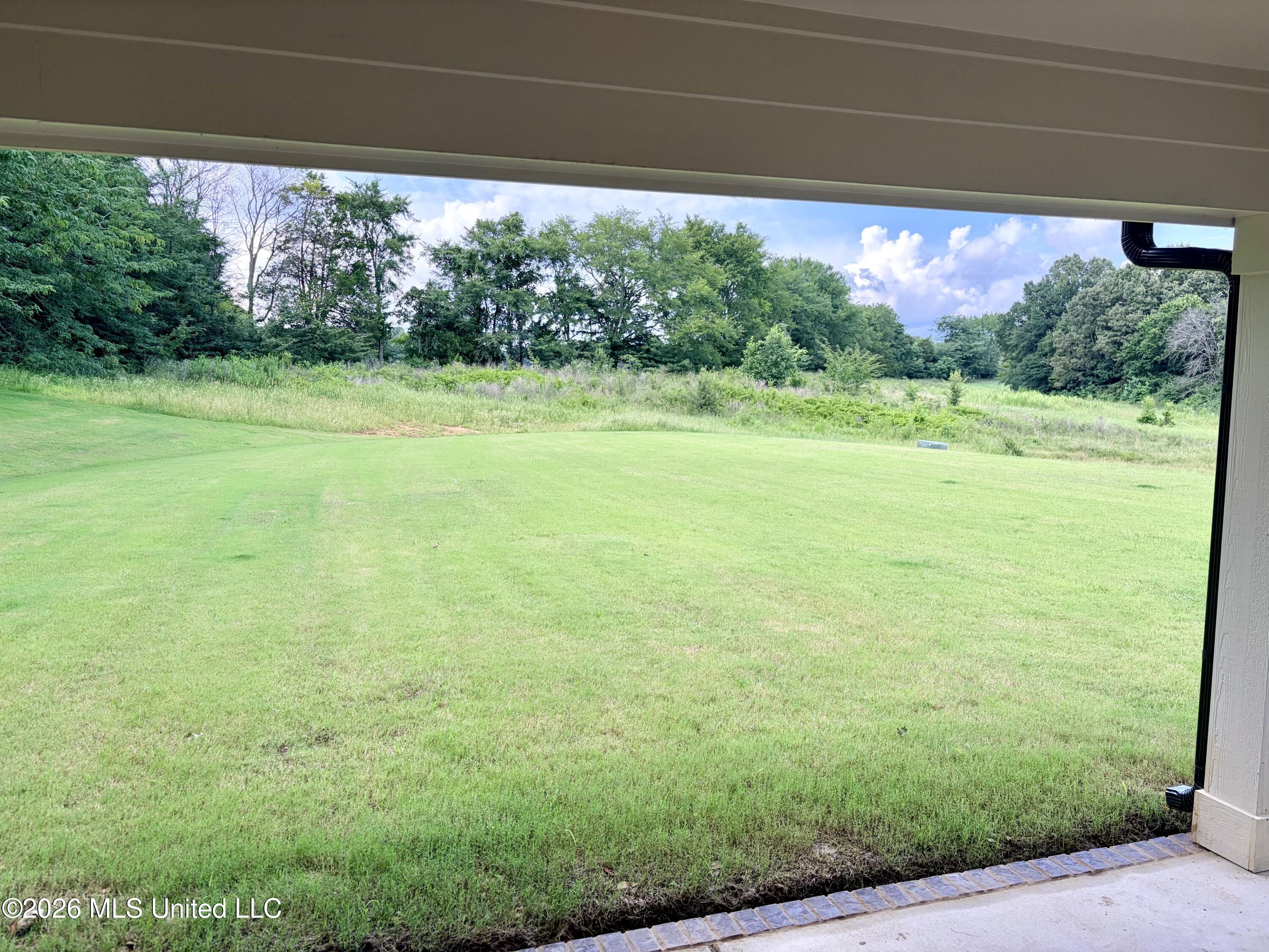 248 Farley Road Byhalia, MS 38611 - Photo 13 of 26 IMG_0474