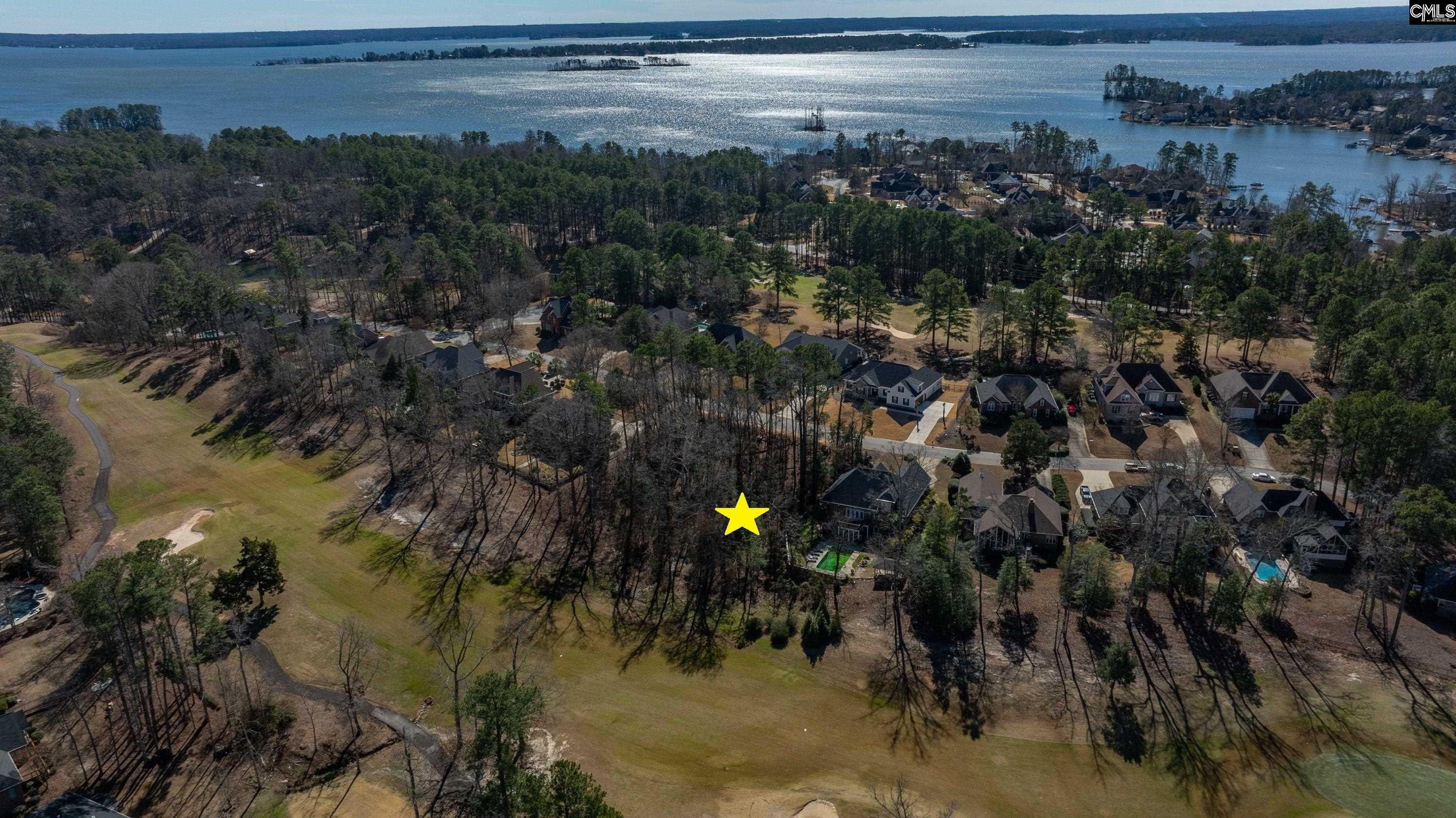 329 Oxenbridge Way Chapin, SC 29036 - Photo 10 of 29