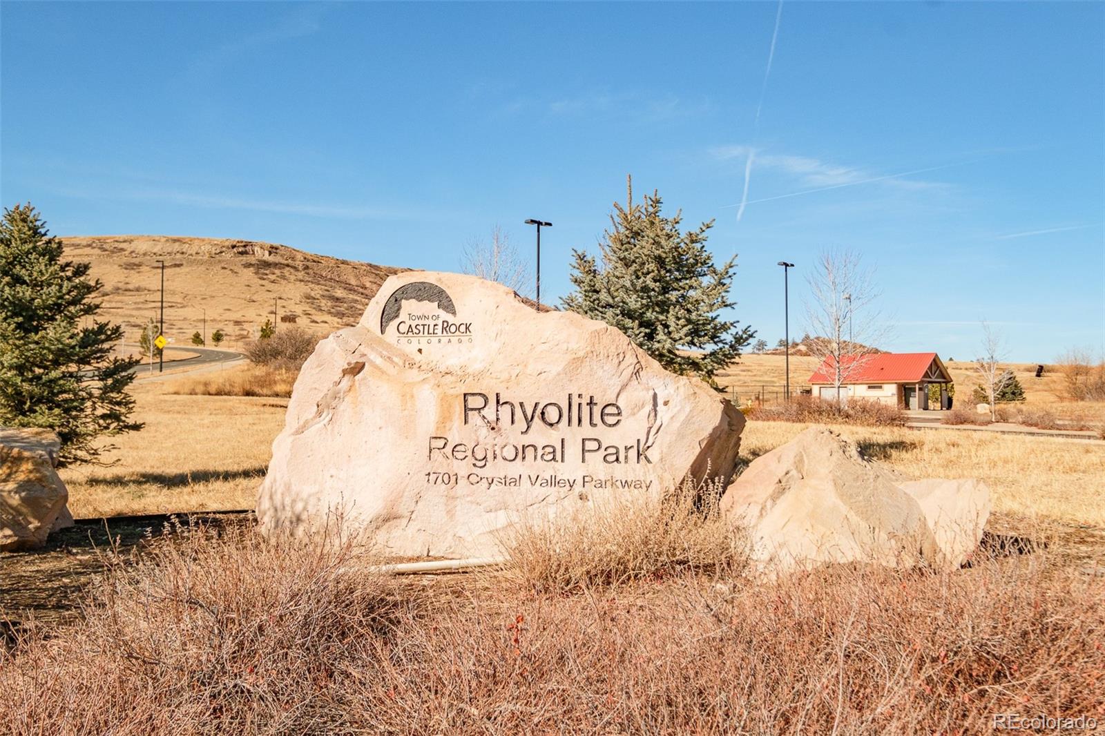 98 Simmental Loop Castle Rock, CO 80104 - Photo 41 of 48