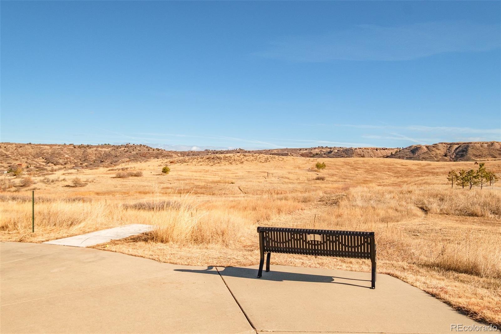 98 Simmental Loop Castle Rock, CO 80104 - Photo 42 of 48