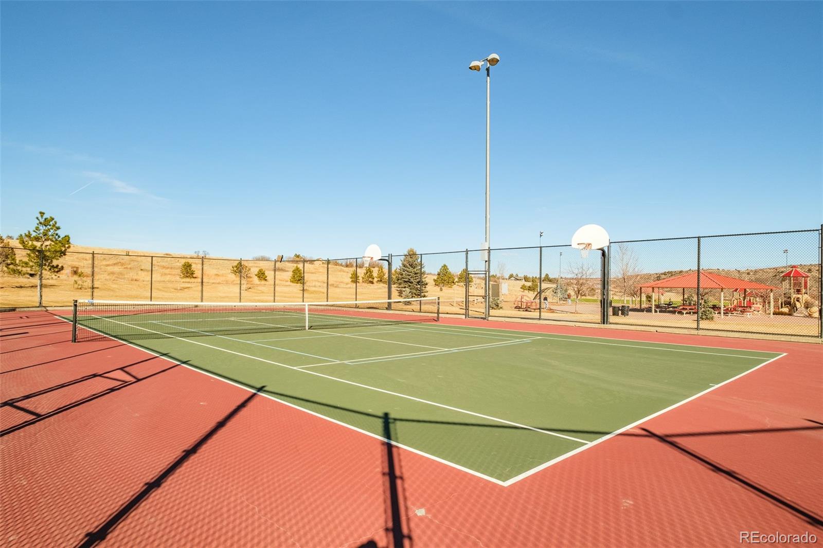 98 Simmental Loop Castle Rock, CO 80104 - Photo 45 of 48