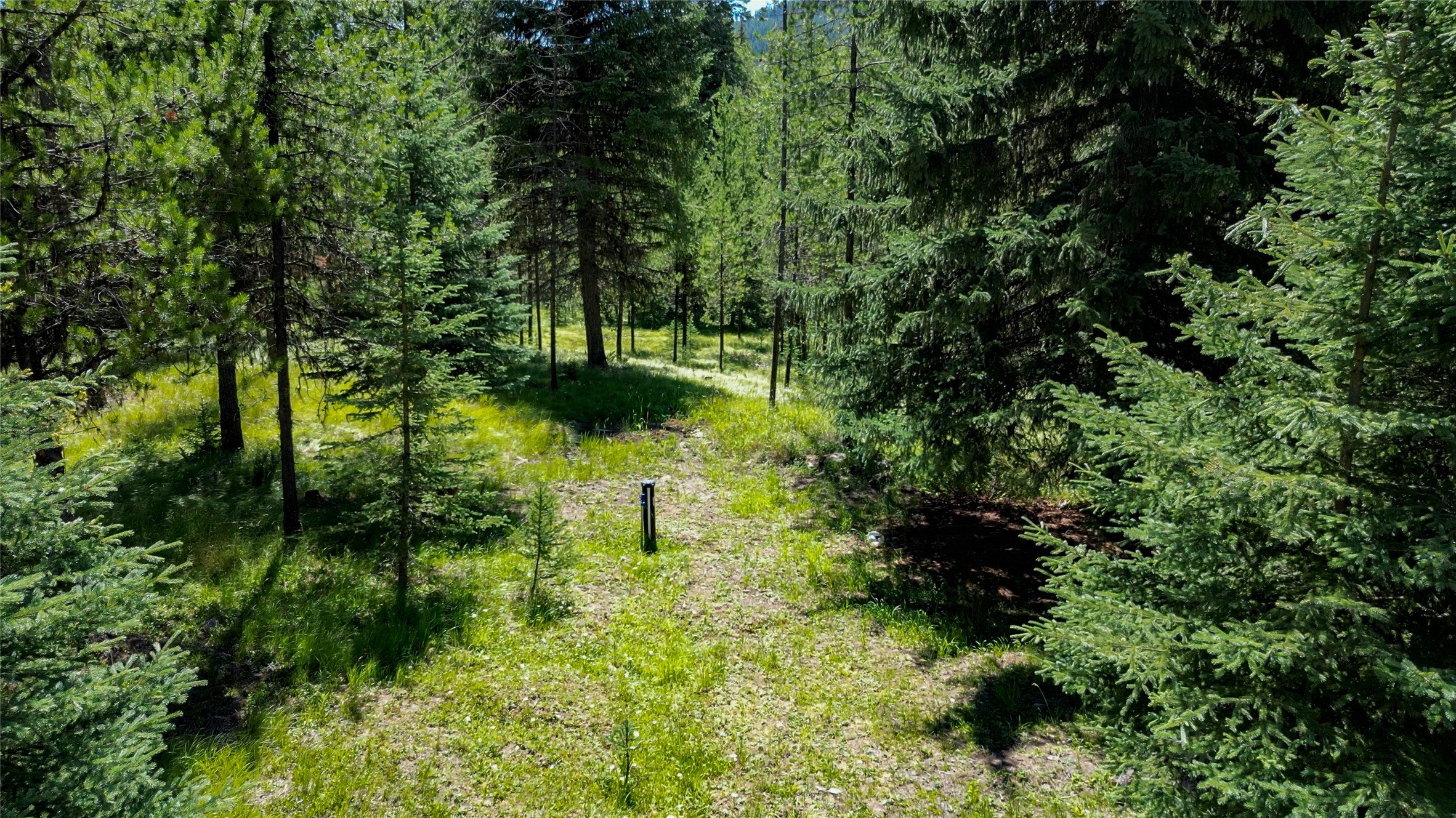 201 Swamp Crk Road Trego, MT 59934 - Photo 32 of 39 Gallery Image 32