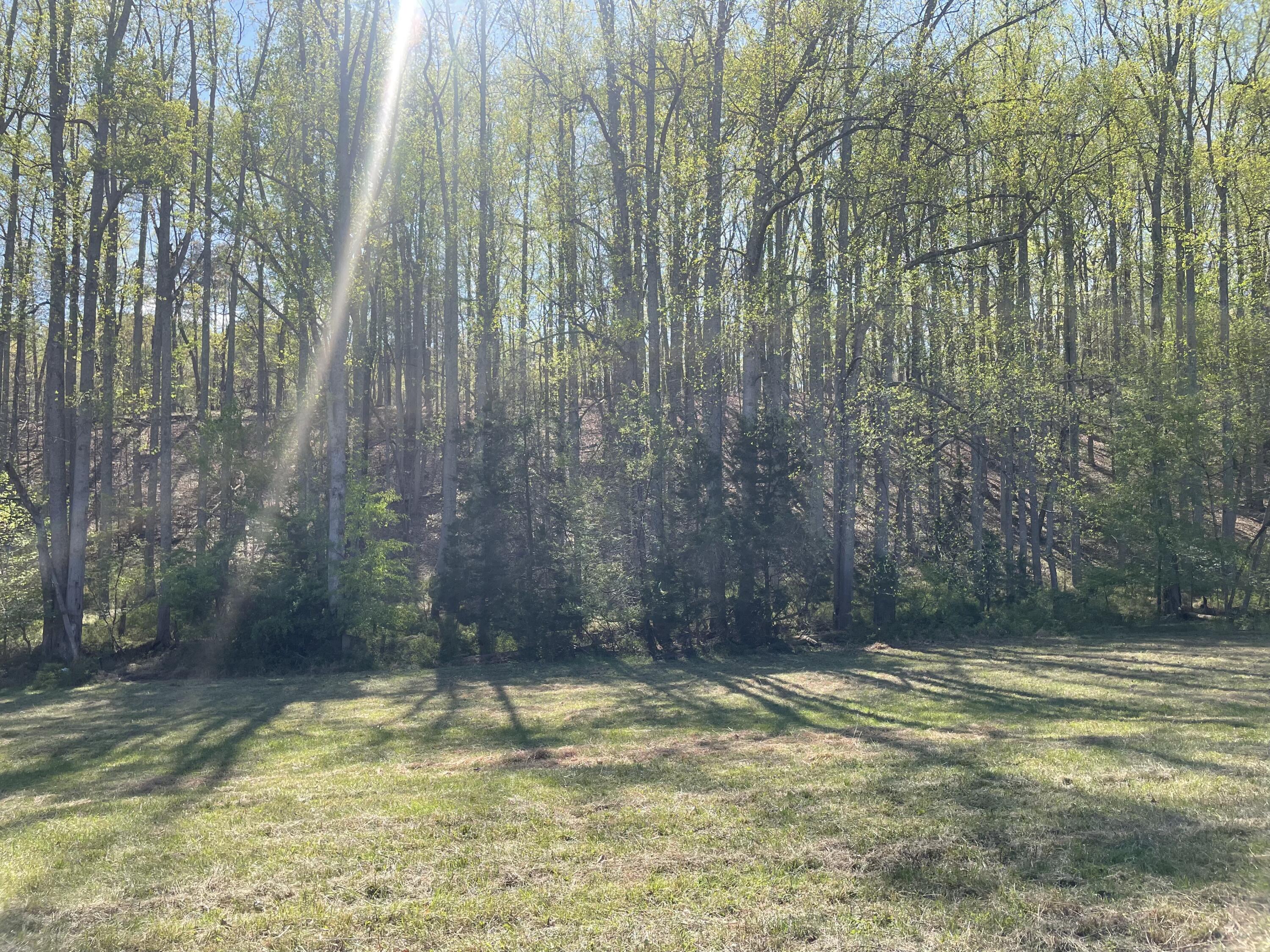 0 Northridge Road Hardy, VA 24101 - Photo 2 of 10 6BFB9FF3-C9CF-4D27-98BC-50C365458CF5