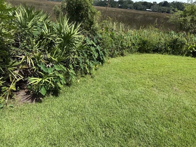 308 Brockinton Marsh St. Simons Island, GA 31522 - Photo 8 of 25