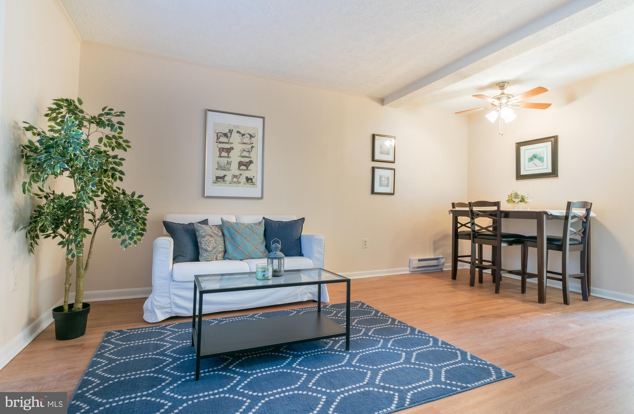 62 Ridge Road, Unit C Greenbelt, MD 20770 - Photo 2 of 9 a living room with furniture potted plant and wooden floor