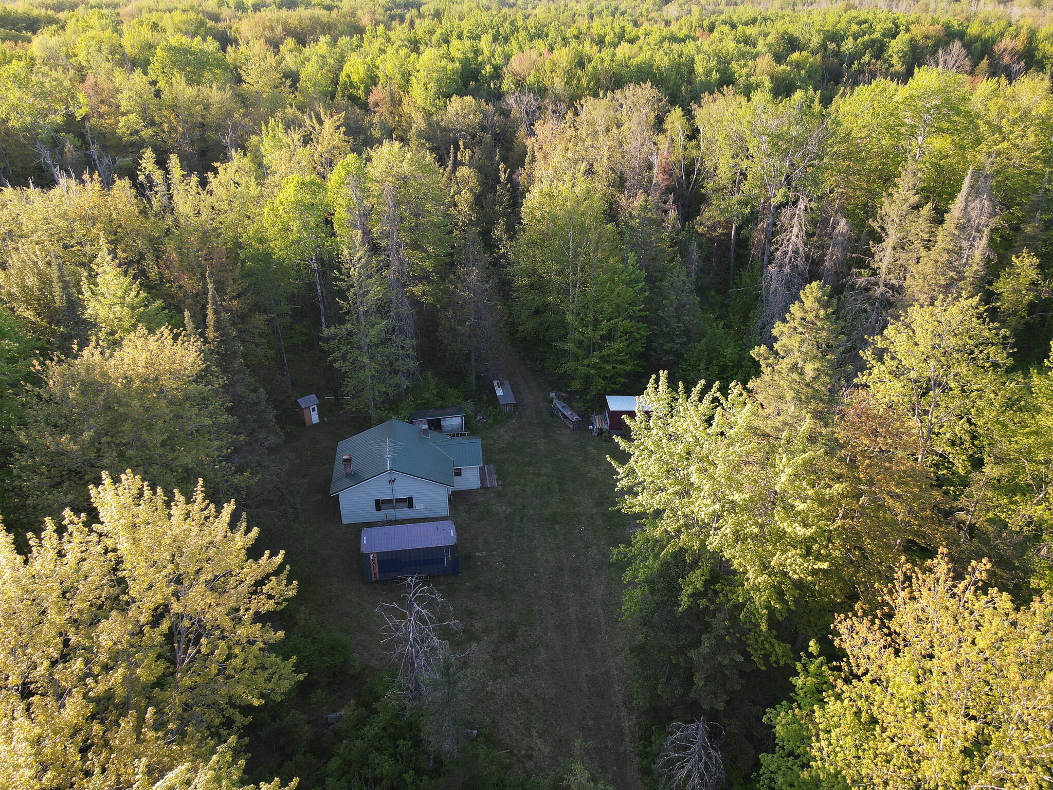 V/l V/l 33rd Road Perkins, MI 49872 - Photo 2 of 70 Cabin