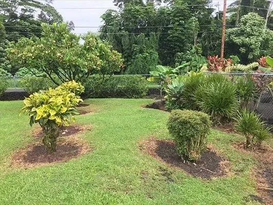 $300,000 | 15-2754 Malolo Street, Pahoa, HI 96778