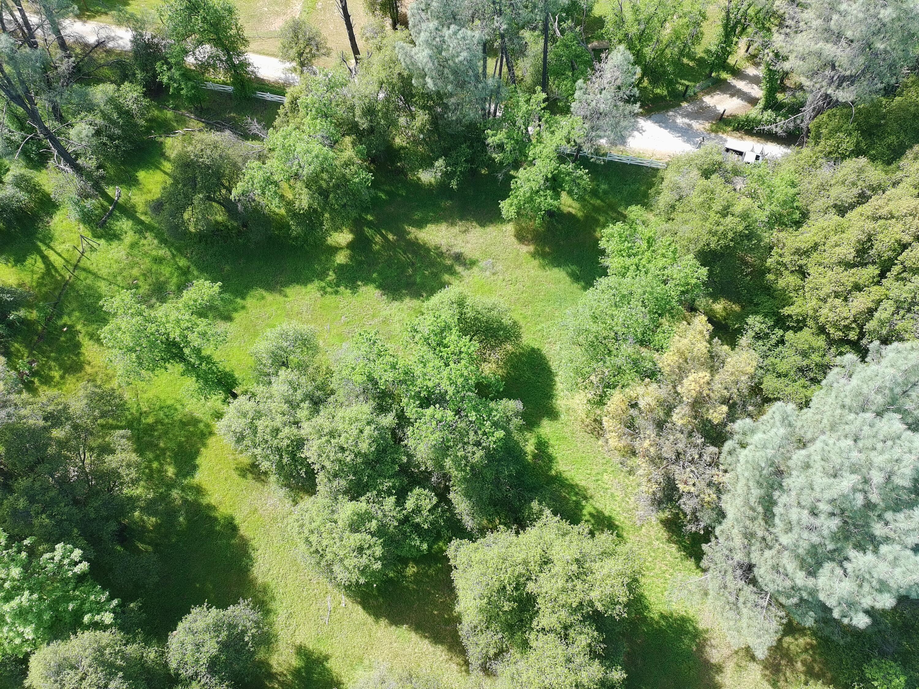 Clough Creek Road Redding, CA 96002 - Photo 18 of 25 PTSC_0142