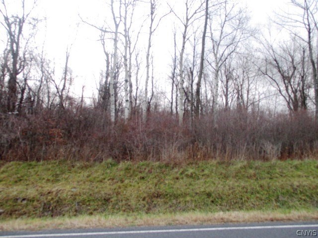 7784 Hapeman Road Wolcott, NY 14590 - Photo 1 of 1 Gallery Image 1