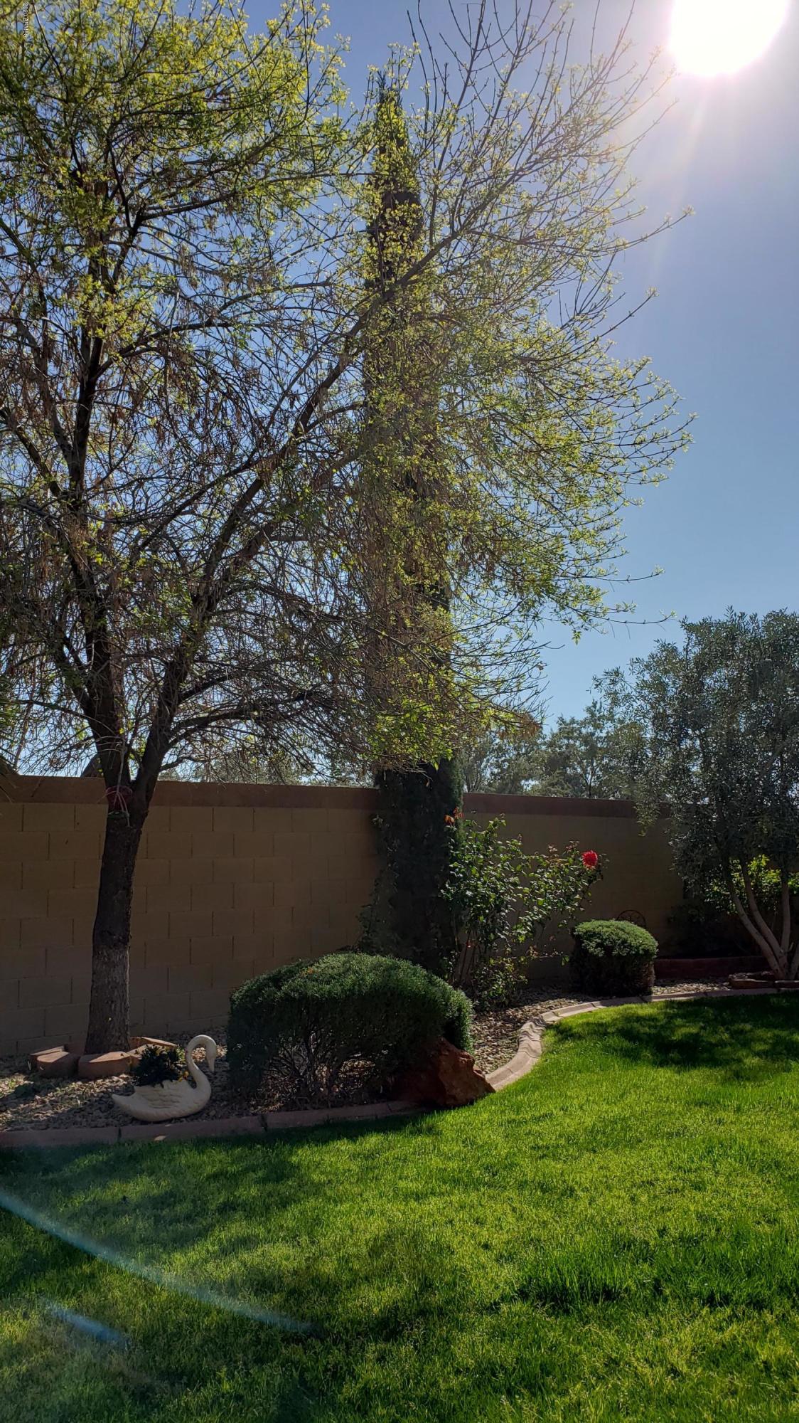 17531 West Boca Raton Road Surprise, AZ 85388 - Photo 21 of 32 a view of a backyard