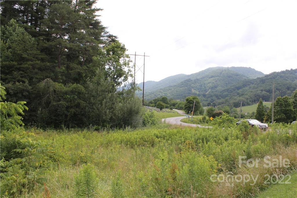 2063 Newfound Road Canton, NC 28716 - Photo 14 of 36 a view of a lush green space and mountain view