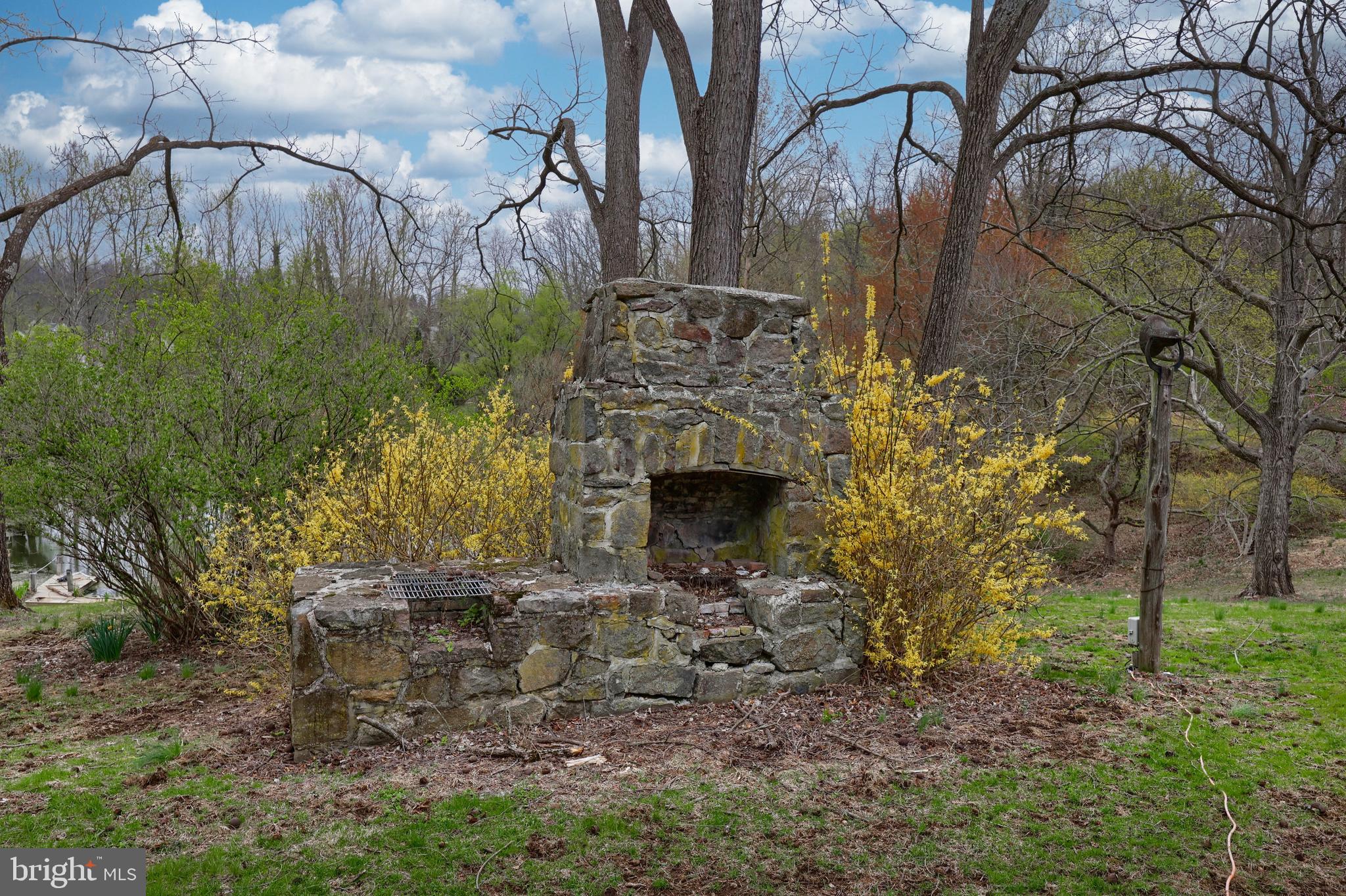 705 Schoffers Road Birdsboro, PA 19508 - Photo 28 of 112 a view of a yard with plants and large trees