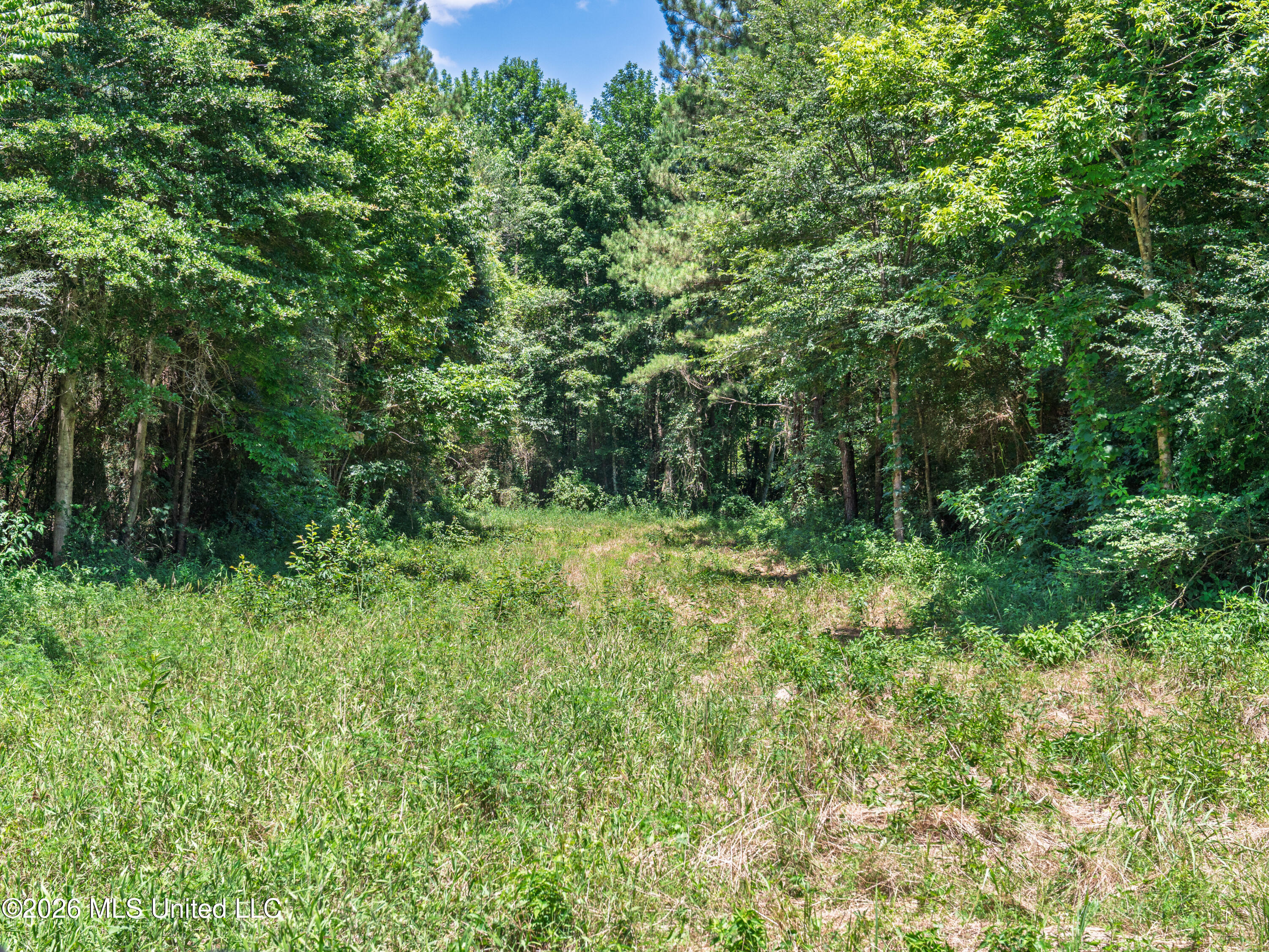 23 Co Road Bay Springs, MS 39422 - Photo 25 of 64 A7403766