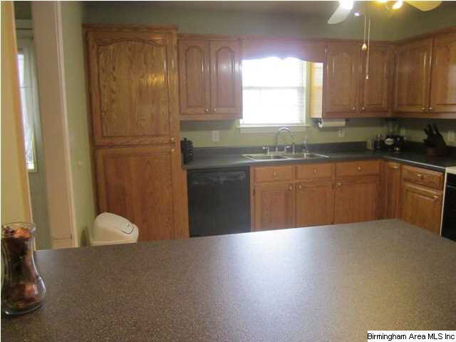 84 Elaine Street Springville, AL 35146 - Photo 3 of 28