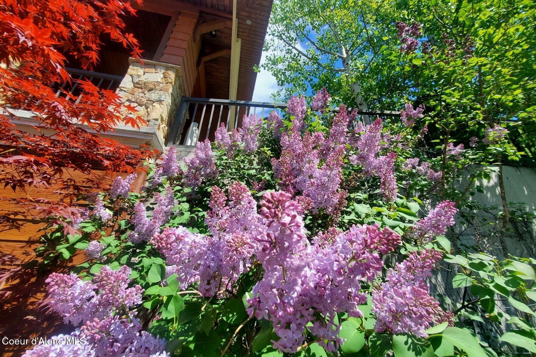 865 East Pine Ridge Drive Harrison, ID 83833 - Photo 53 of 81 Beautiful Lilacs