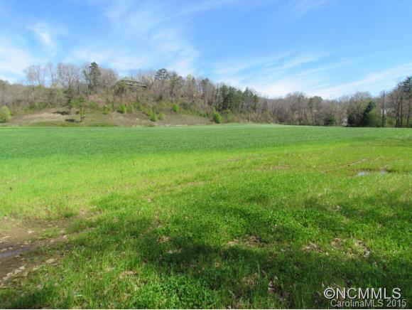 9999 Thickety Road Clyde, NC 28721 - Photo 1 of 9