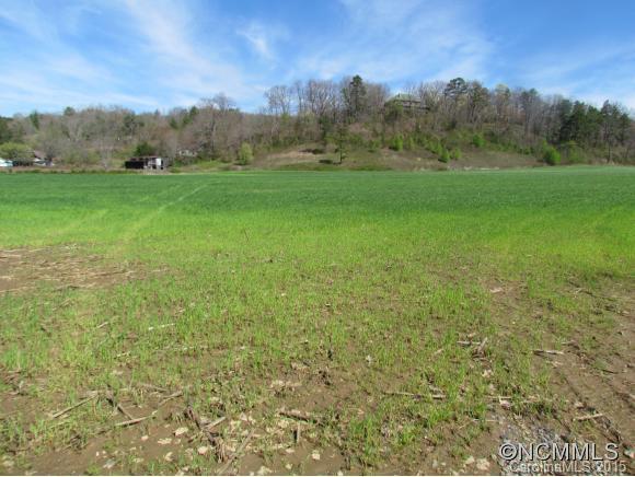 9999 Thickety Road Clyde, NC 28721 - Photo 2 of 9