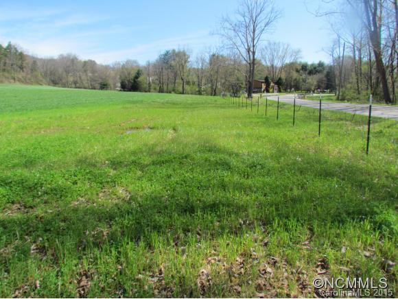 9999 Thickety Road Clyde, NC 28721 - Photo 3 of 9