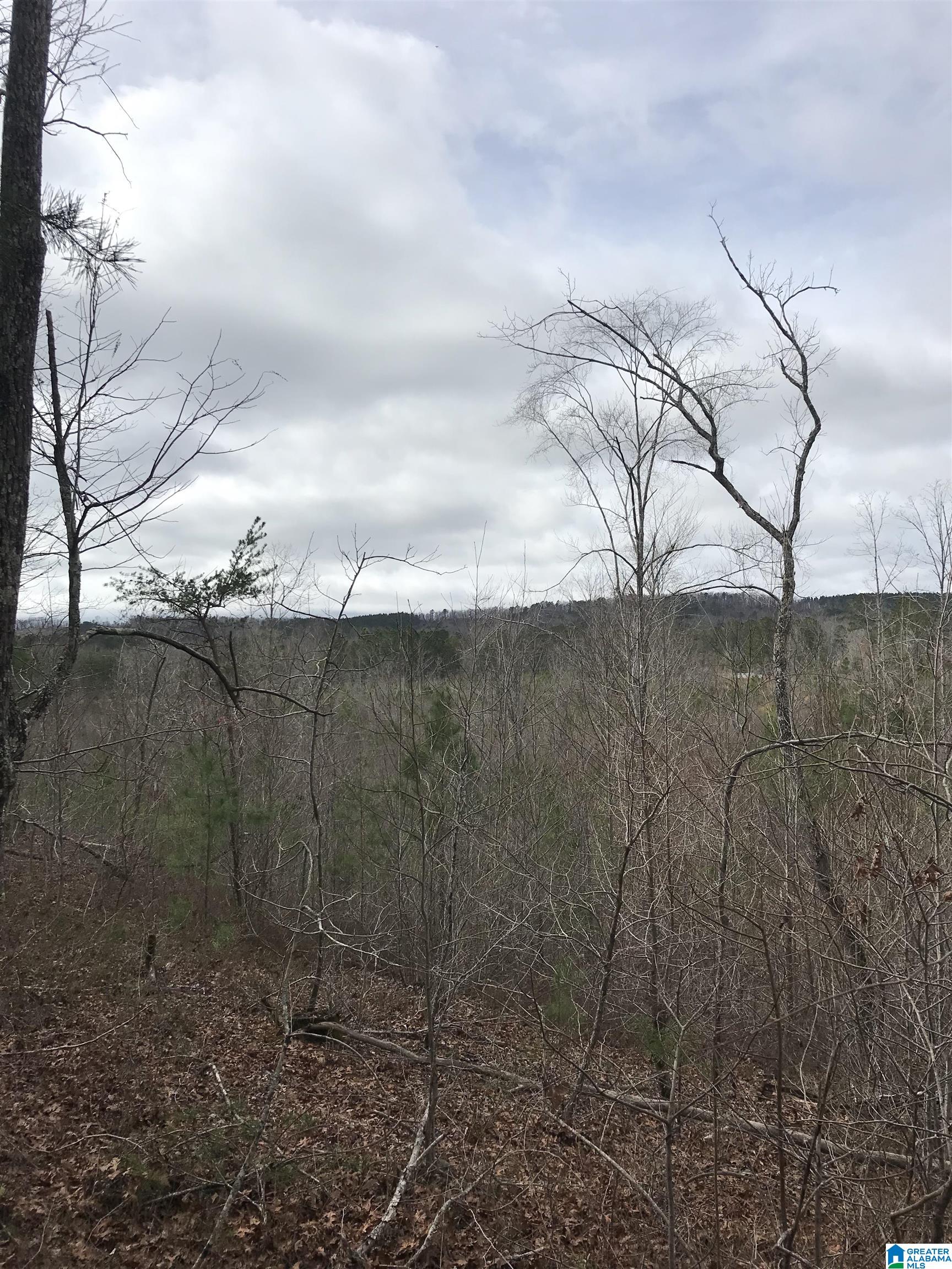 0 Indian Creek Road, Unit 1 Lineville, AL 36266 - Photo 1 of 10