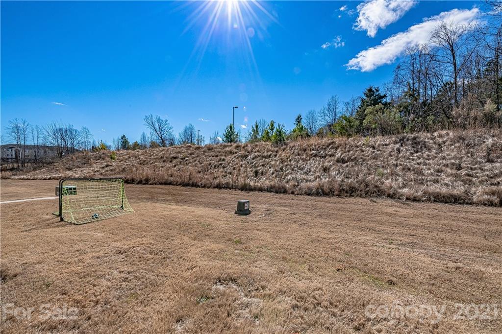1010 Archibald Avenue Fort Mill, SC 29708 - Photo 28 of 33