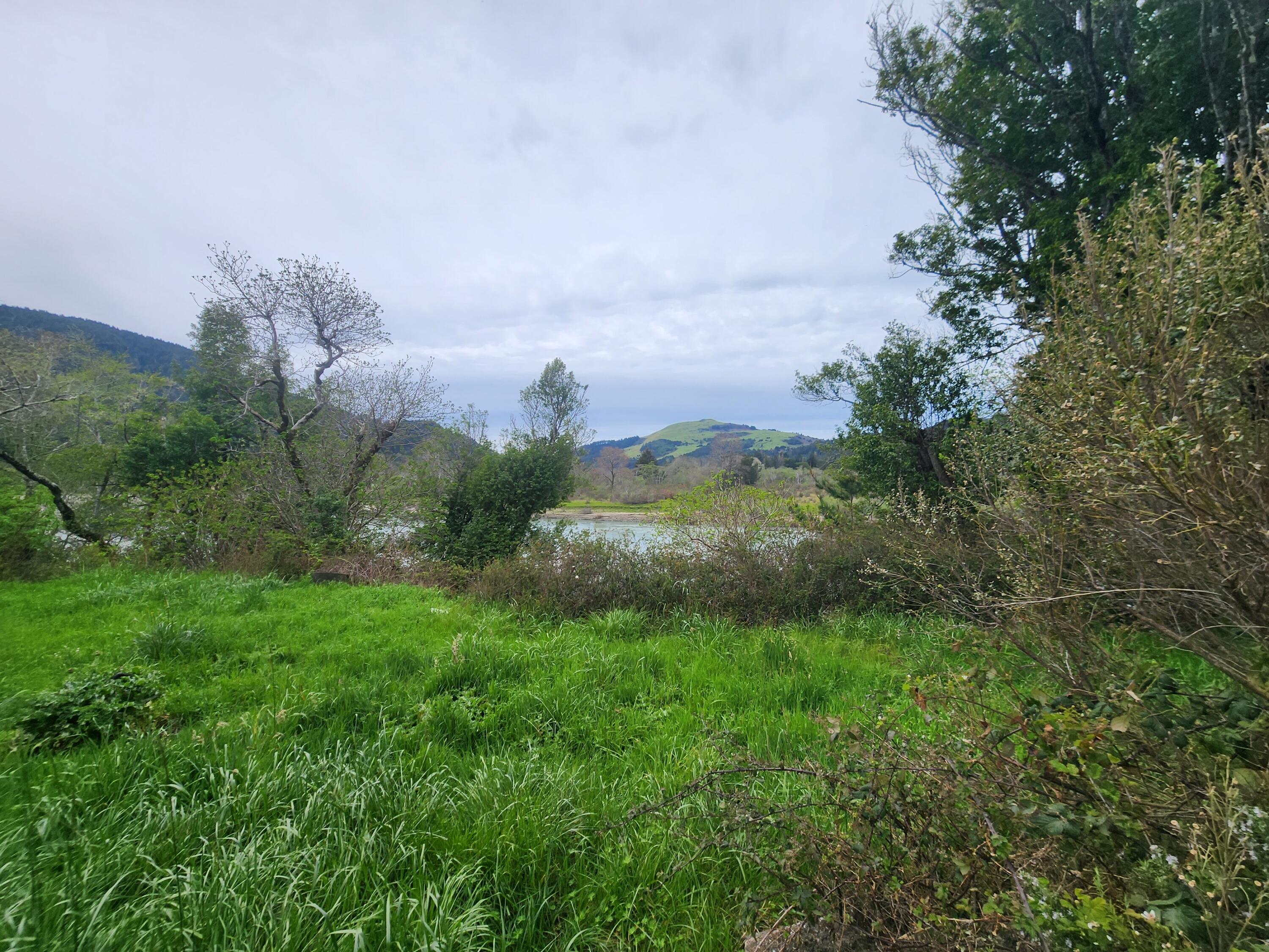 1000 Lighthouse Road Petrolia, CA 95558 - Photo 39 of 44 20240320_131334