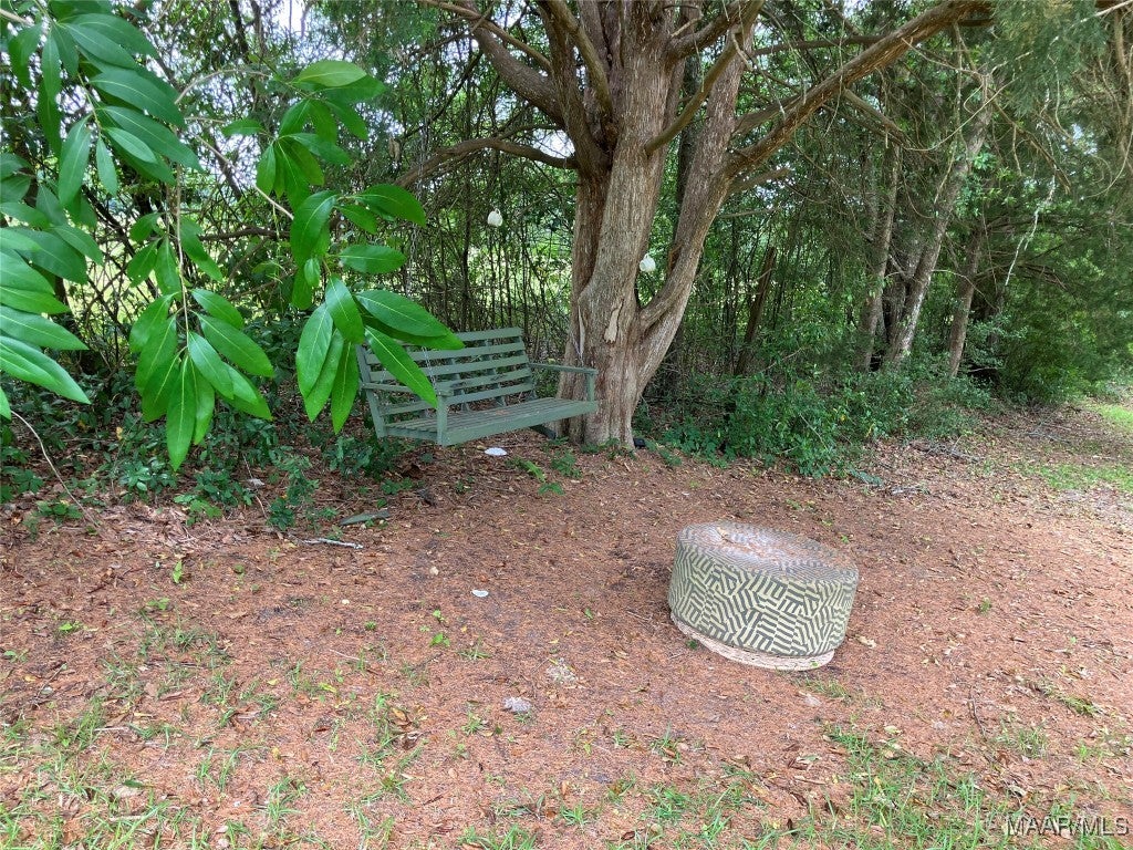 23007 Old Dragstrip Road Andalusia, AL 36421 - Photo 10 of 13 Gallery Image 10