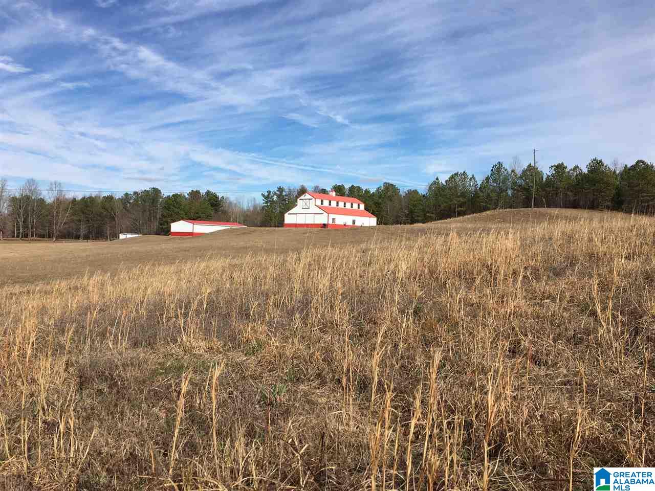 0 Pleasant Hills Road, Unit 40 Odenville, AL 35120 - Photo 2 of 48