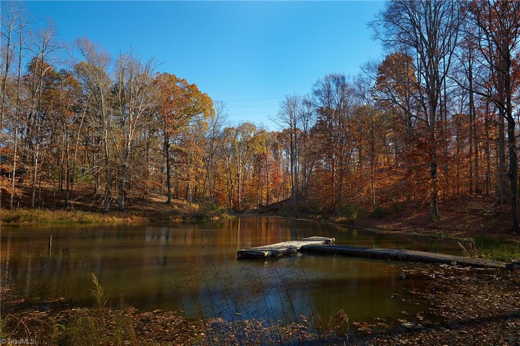 544 Neal Road Madison, NC 27025 - Photo 4 of 28 Ground level view of private fishing pond and dock.
