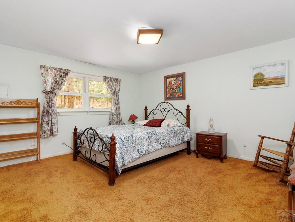8145 Birch Drive Rye, CO 81069 - Photo 25 of 44