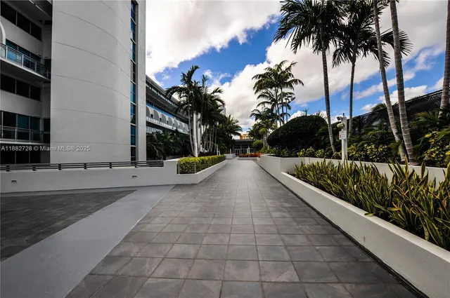 a view of a pathway with a palm trees
