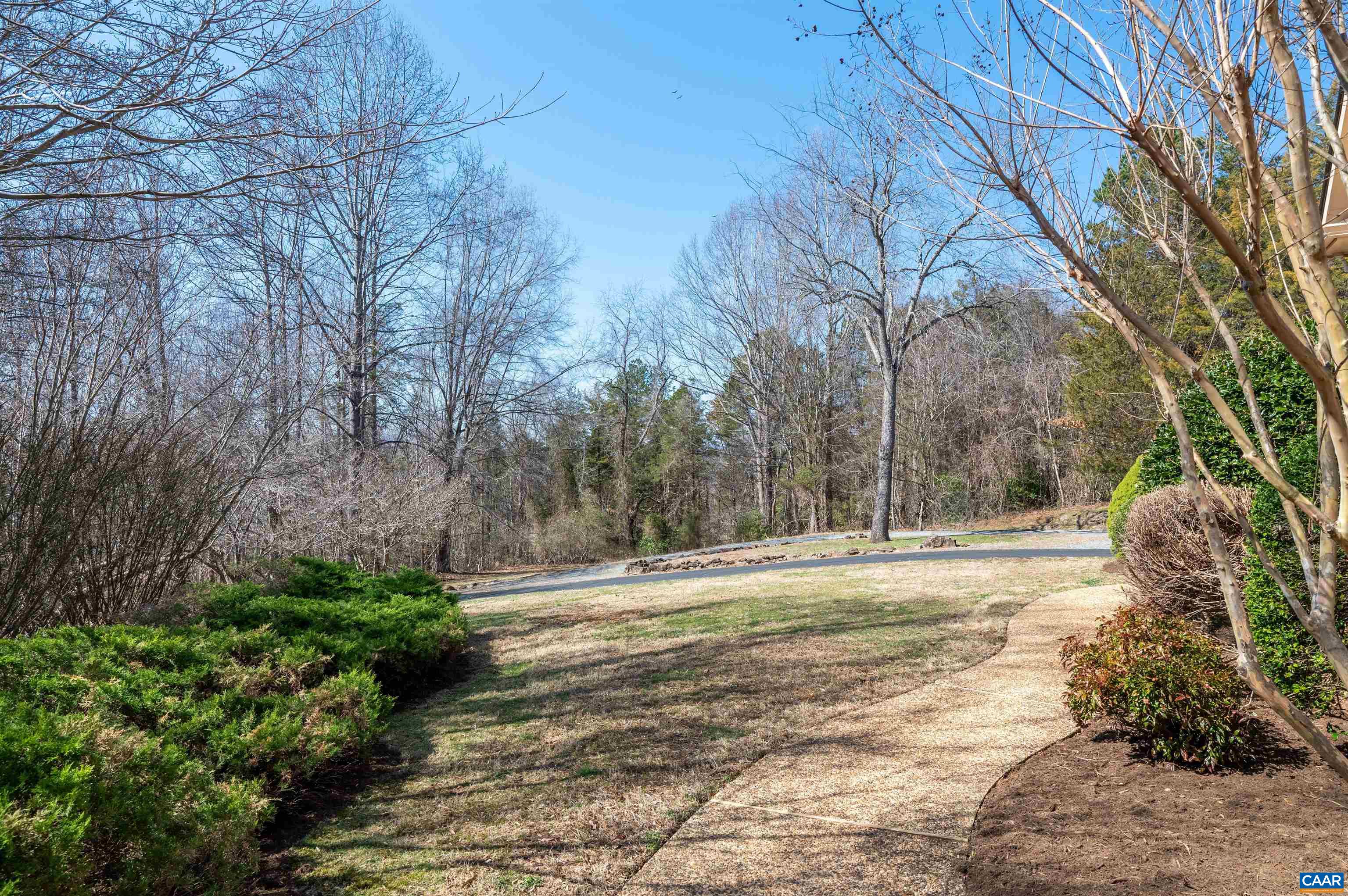 891 Old Ballard Road Charlottesville, VA 22901 - Photo 46 of 49 a view of a backyard with large trees