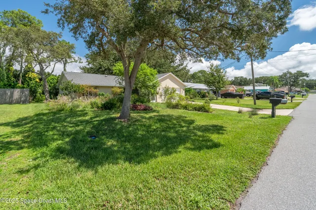 a view of a park with large trees