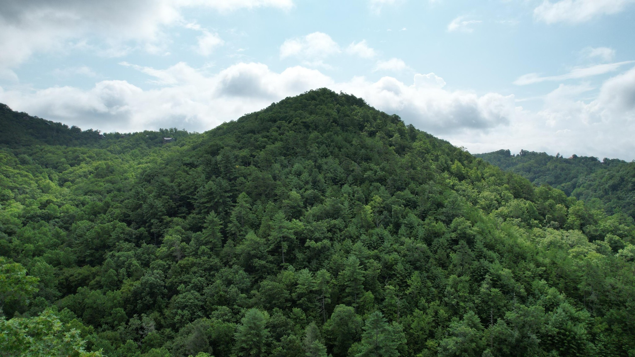 98 Black Powder Lane Sevierville, TN 37862 - Photo 29 of 30