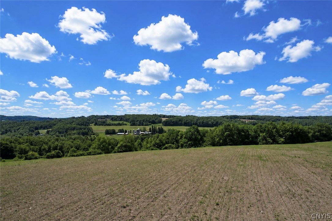 0 Roberts Road Eaton, NY 13334 - Photo 6 of 13