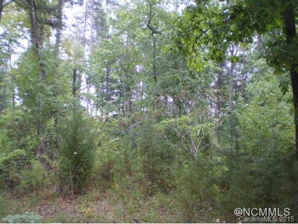 0 Bob Mckinney Rutherfordton, NC 28139 - Photo 1 of 5