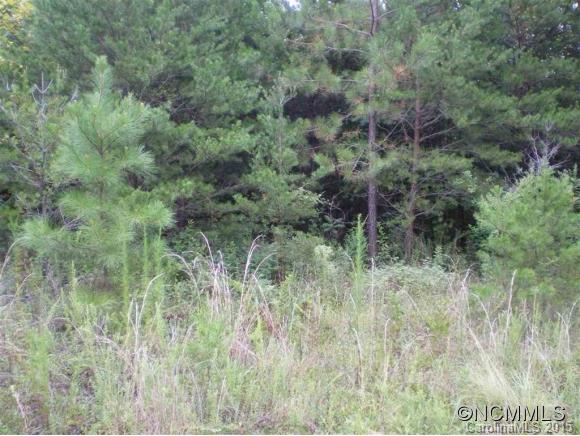 0 Bob Mckinney Rutherfordton, NC 28139 - Photo 2 of 5