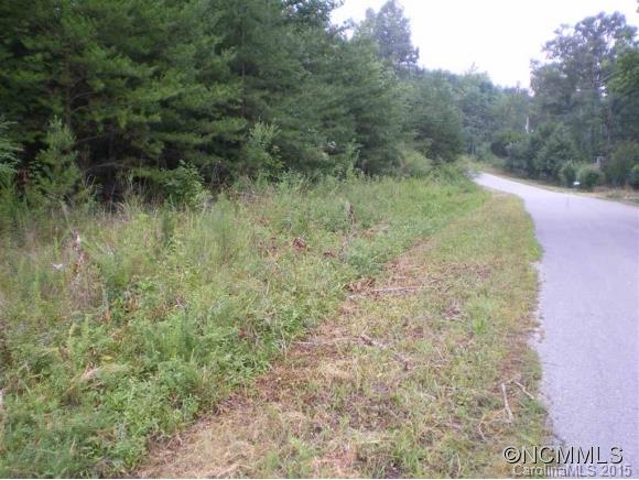 0 Bob Mckinney Rutherfordton, NC 28139 - Photo 3 of 5