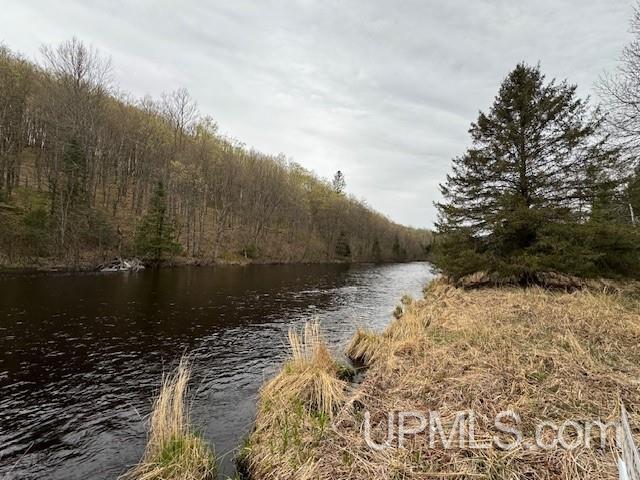Tbd River Country Road Iron River, MI 49935 - Photo 2 of 10