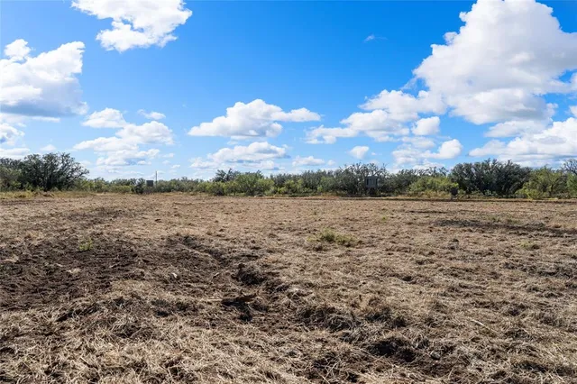 a view of a backyard with a hardwood