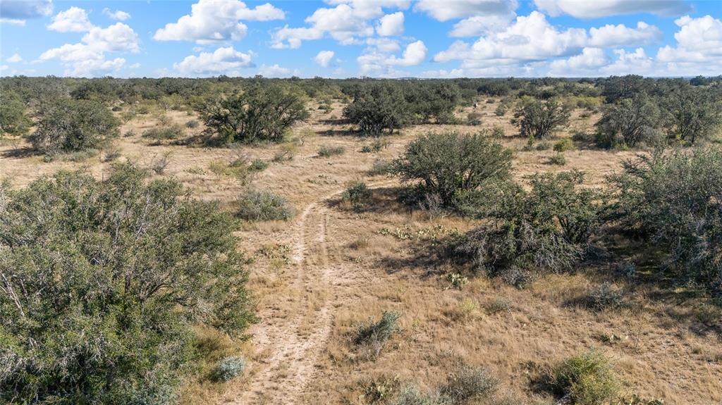 10652 Corbell Road Brady, TX 76825 - Photo 26 of 38 a view of a dry yard with lots of trees