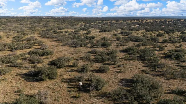 $2,650,000 | 10652 Corbell Road, Brady, TX 76825