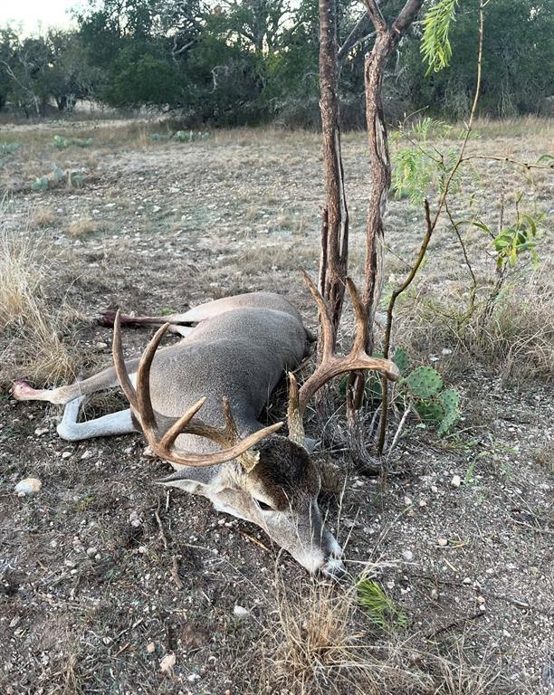 10652 Corbell Road Brady, TX 76825 - Photo 38 of 38 a view of outdoor space and lake view