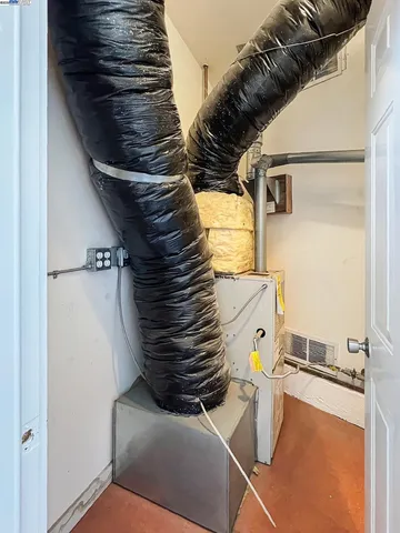 a picture of flowers