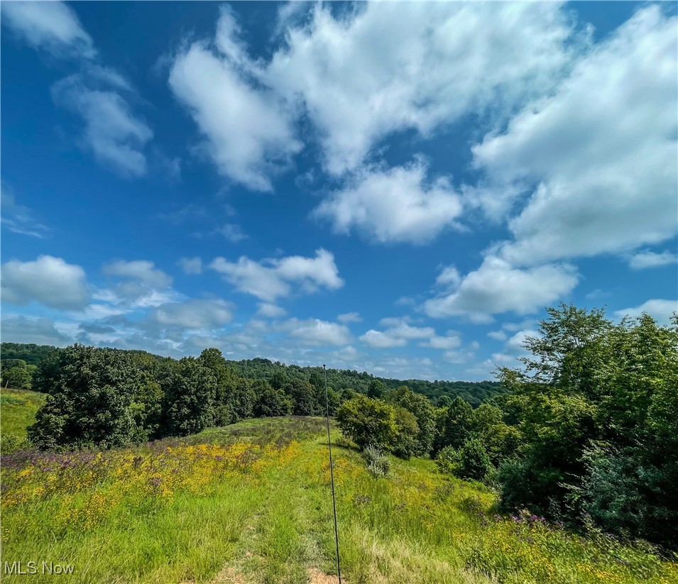 226 Banner Hill Road Spencer, WV 25276 - Photo 10 of 35
