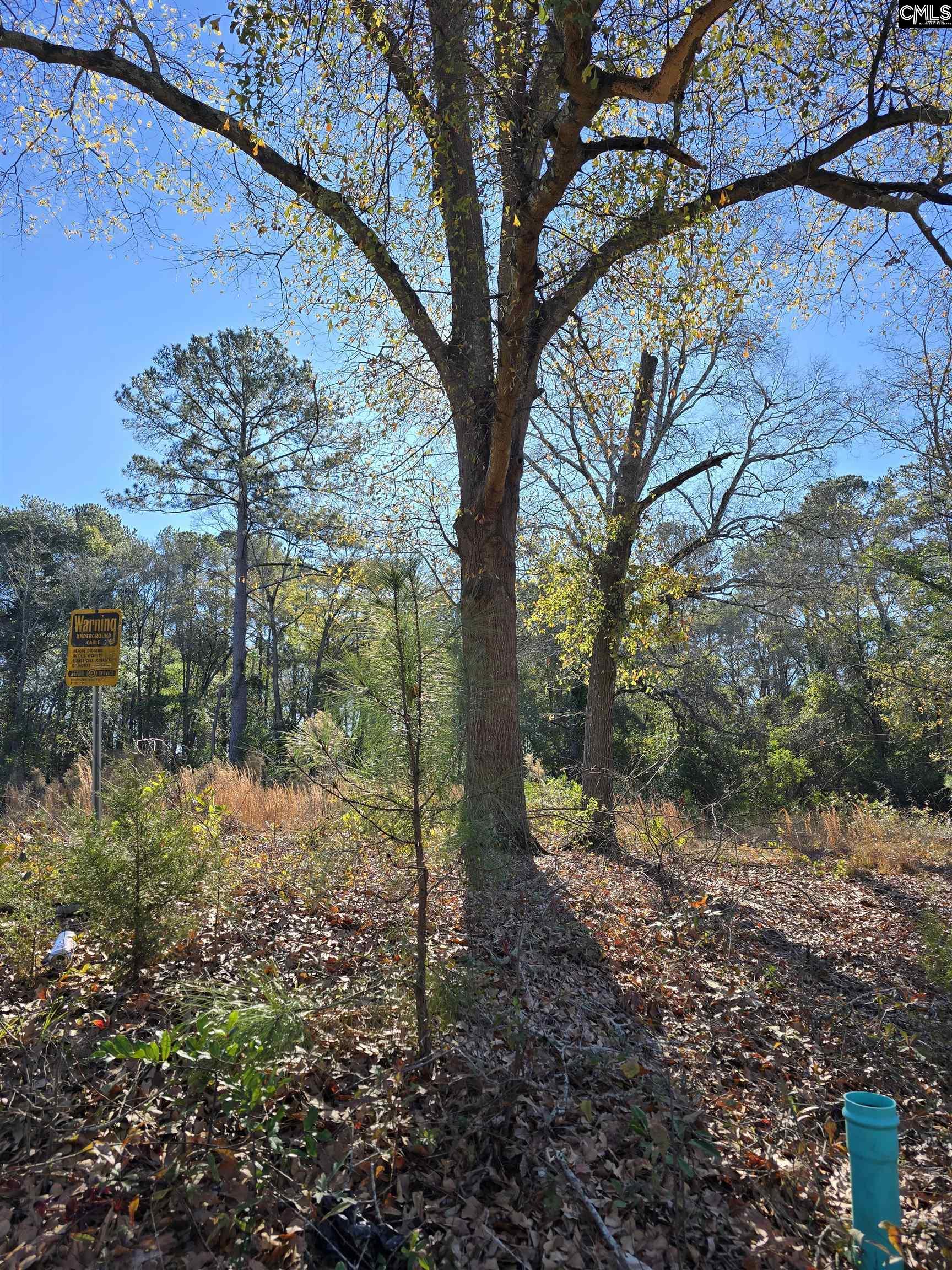 Lot 7-8 Popular Street Cayce, SC 29033 - Photo 1 of 12