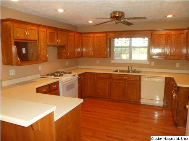 1185 Riddles Bend Road Rainbow City, AL 35906 - Photo 3 of 12